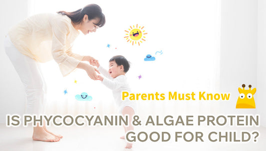 What is Phycocyanin and Algae Protein? Good for Children?